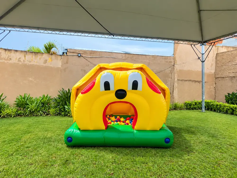 Piscina de Bolinhas Cachorrinha